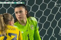 B体育体育网页版-关于瑞典女足队员遭受严重伤势，无缘参加下场比赛！的信息