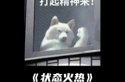 B体育体育地址-巴塞罗那门将连续立下关键扑救，状态火热