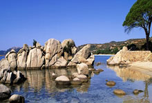 B体育体育平台-包含体育界的最新动向再次引发热烈关注！的词条